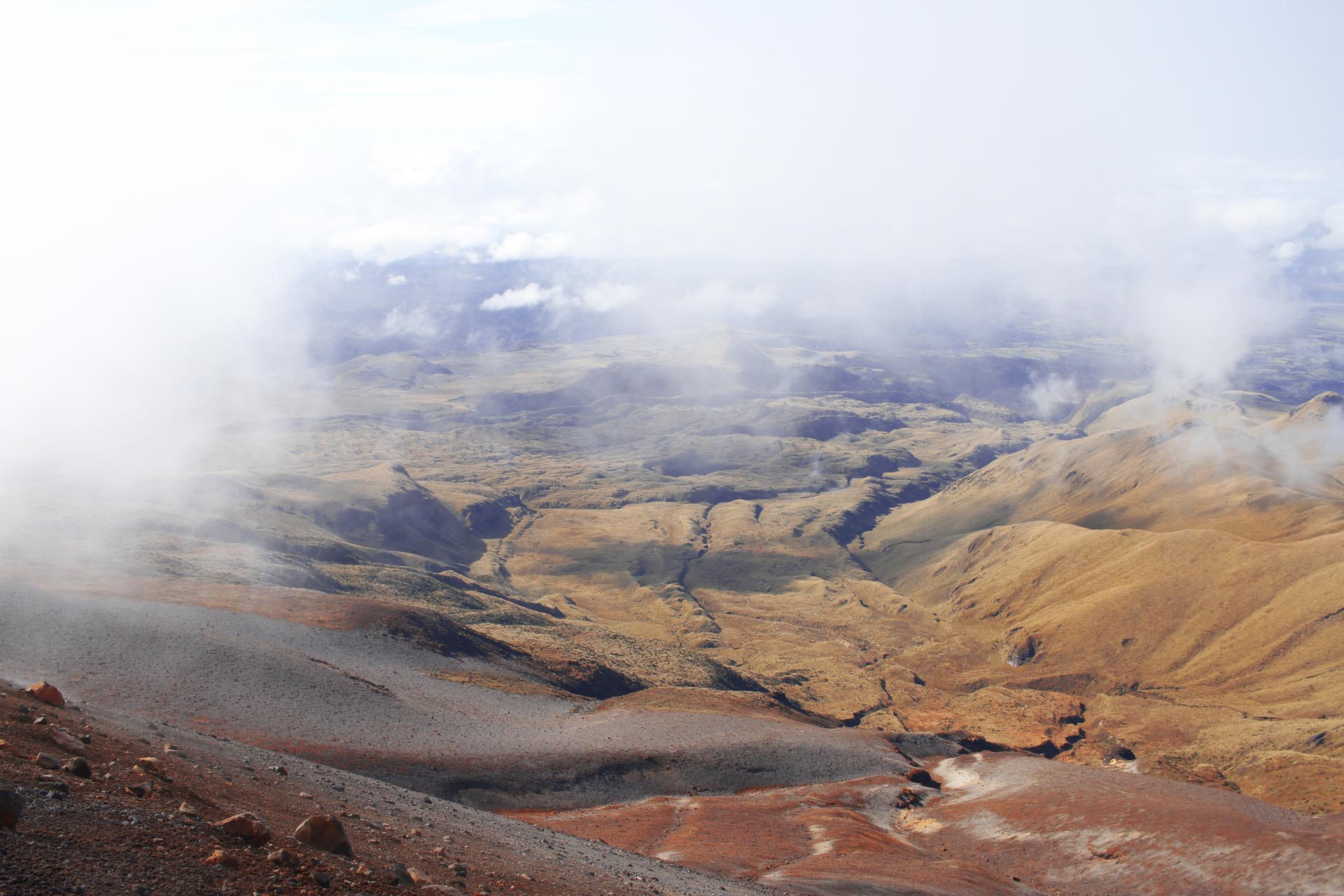 Koko Urko - Tania Ausecha